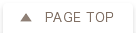 PAGE TOP